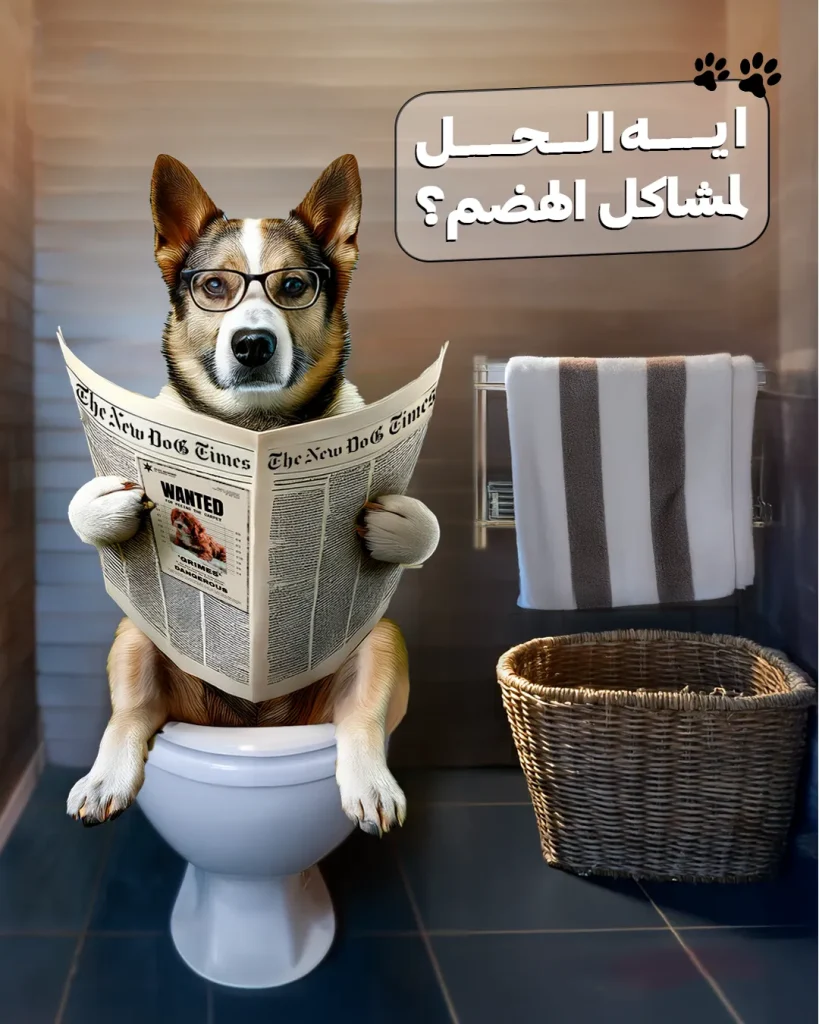 س
