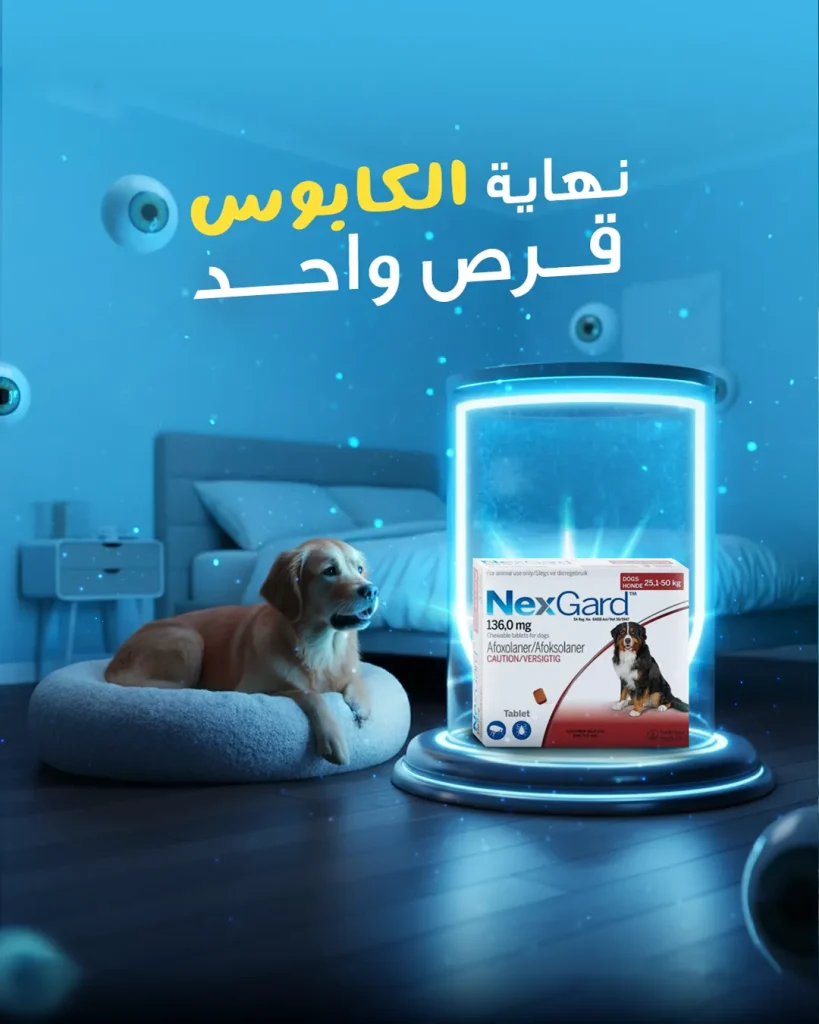 سش