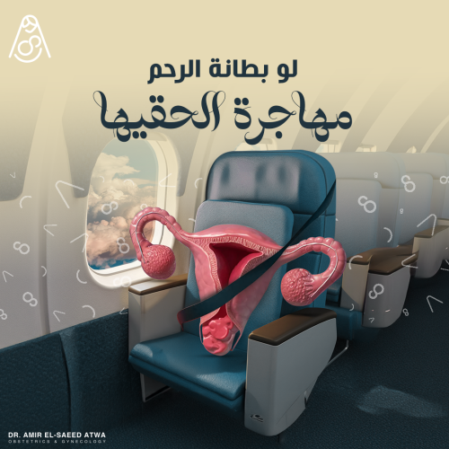 Dr. Amir El-Saeed Atwa